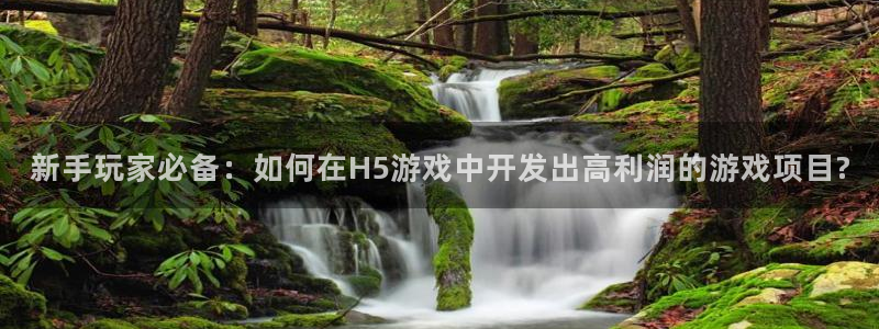 沐鸣平台由44262：新手玩家必备：如何在H5游戏中开发出高利润的游戏项目?
