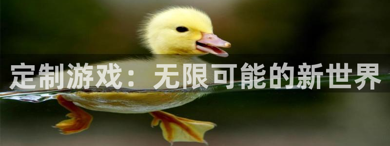 沐鸣娱乐2登入：定制游戏：无限可能的新世界