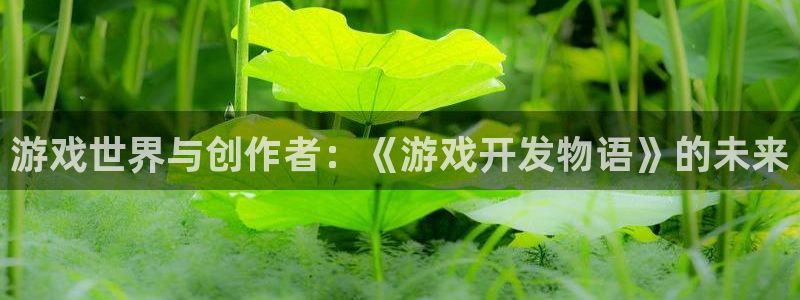 沐鸣娱乐2官网网址是多少：游戏世界与创作者：《游戏开发物语》的未来