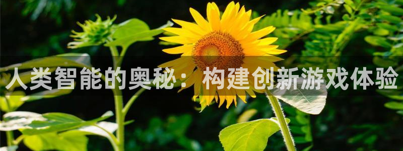 沐鸣2注册登录下载：人类智能的奥秘：构建创新游戏体验