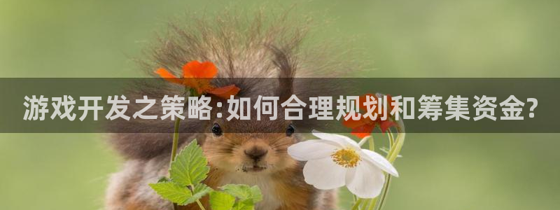 沐鸣平台由44262：游戏开发之策略:如何合理规划和筹集资金?