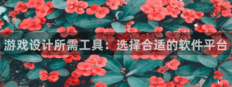 沐鸣娱乐2平台：游戏设计所需工具：选择合适的软件平台