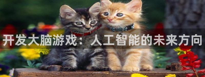 沐鸣2客户端 登录：开发大脑游戏：人工智能的未来方向