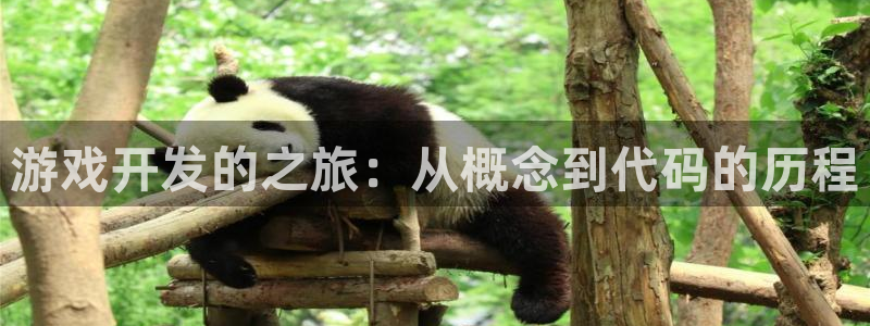 沐鸣2手机网页版：游戏开发的之旅：从概念到代码的历程
