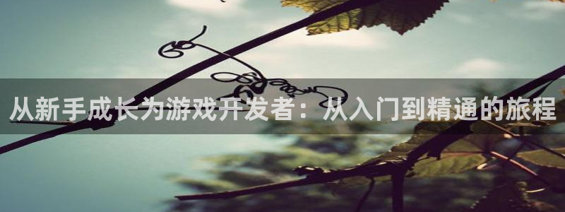 沐鸣2平台招商