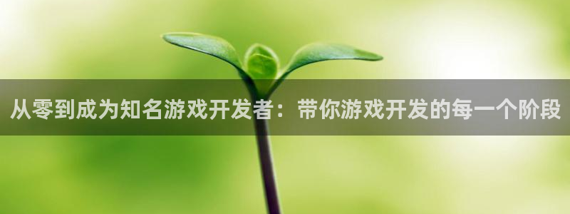 沐鸣2多少年：从零到成为知名游戏开发者：带你游戏开发的每一个阶段
