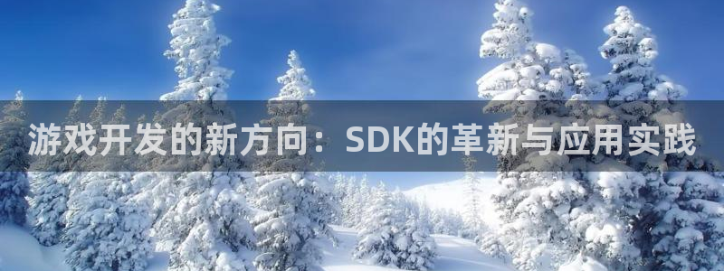 沐鸣2注册网站：游戏开发的新方向：SDK的革新与应用实践