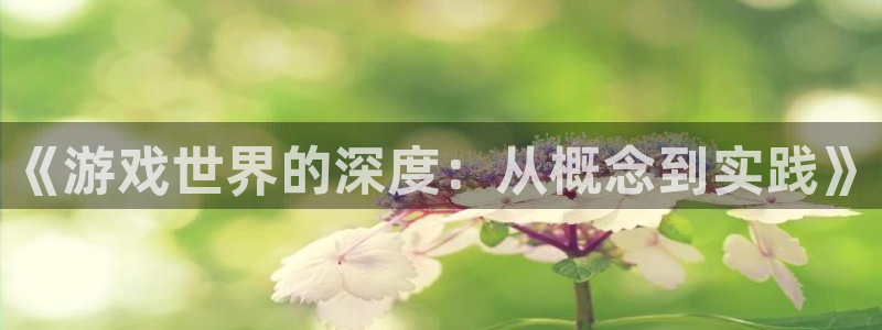 沐鸣娱乐2手机版：《游戏世界的深度：从概念到实践》