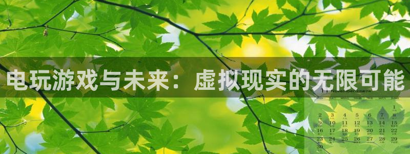 沐鸣2平台线路：电玩游戏与未来：虚拟现实的无限可能