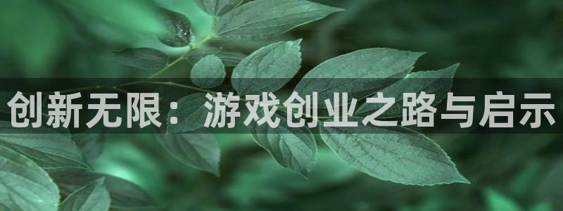 沐鸣2输钱能要回来吗：创新无限：游戏创业之路与启示
