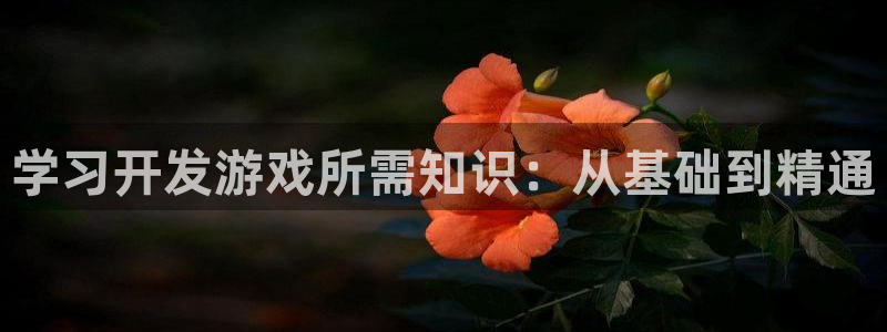 沐鸣娱乐2官方平台投诉：学习开发游戏所需知识：从基础到精通