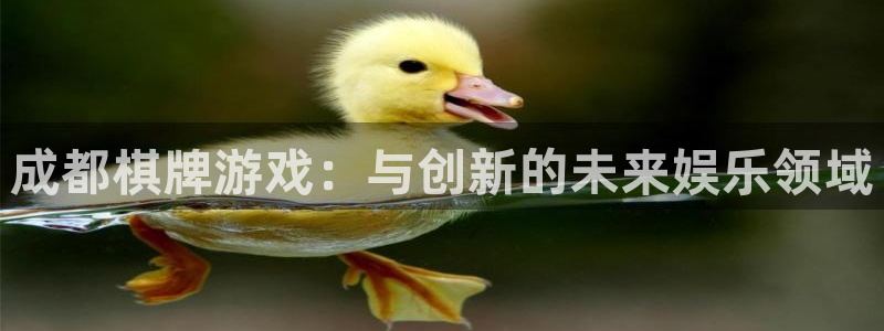 沐鸣2娱乐平台登录：成都棋牌游戏：与创新的未来娱乐领域