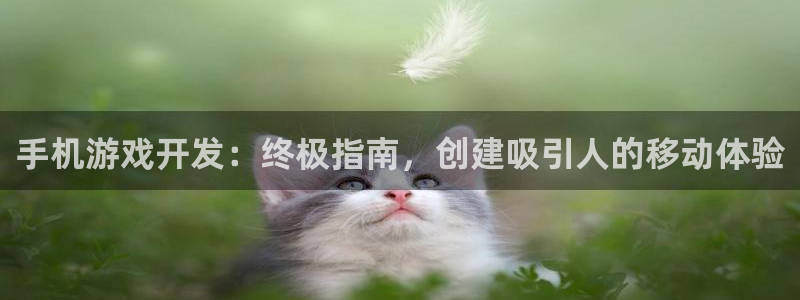沐鸣娱乐2官方平台是什么：手机游戏开发：终极指南，创建吸引人的移动体验