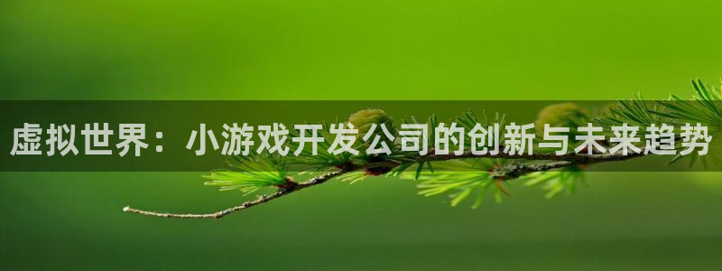 沐鸣2平台注册流程：虚拟世界：小游戏开发公司的创新与未来趋势