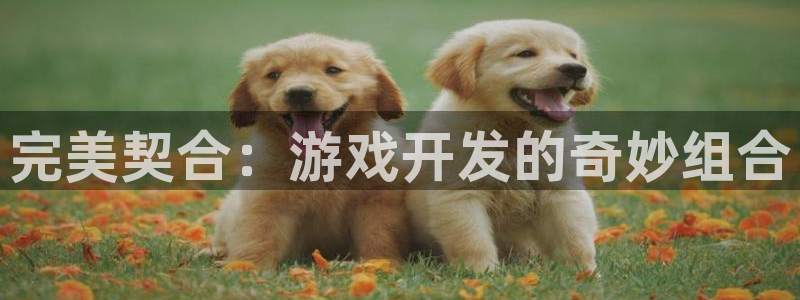 沐鸣娱乐2下载：完美契合：游戏开发的奇妙组合