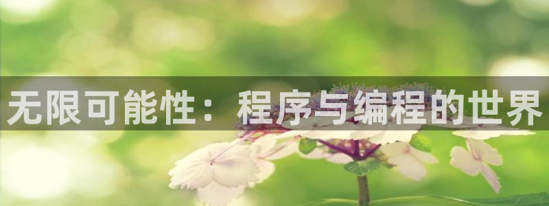 沐鸣娱乐2手机版：无限可能性：程序与编程的世界