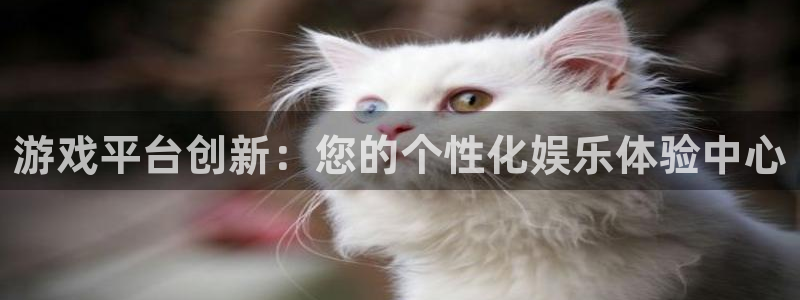 沐鸣2开户地址：游戏平台创新：您的个性化娱乐体验中心