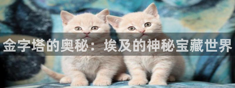 沐鸣2注册开户：金字塔的奥秘：埃及的神秘宝藏世界