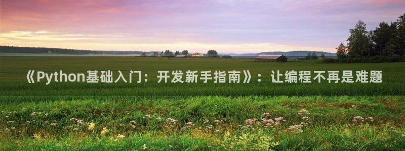 沐鸣娱乐2电脑版：《Python基础入门：开发新手指南》：让编程不再是难题