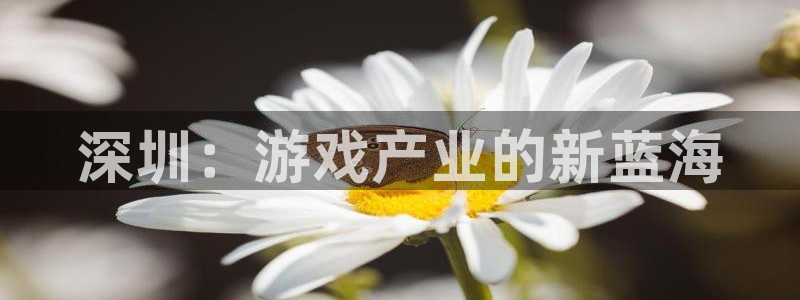沐鸣2平台是杏彩的吗：深圳：游戏产业的新蓝海
