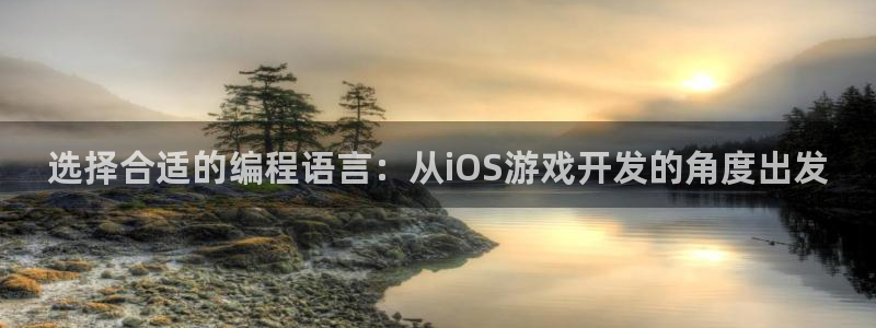 沐鸣2注册平台：选择合适的编程语言：从iOS游戏开发的角度出发